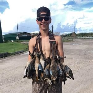 Meet your Posher, Alex